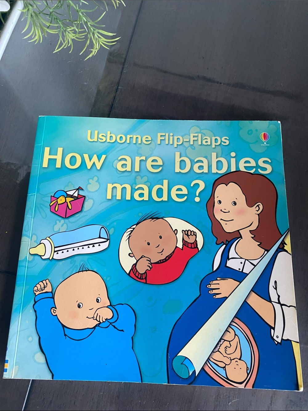 Usborne Book Flip-Flaps: How Are Babies Made? early learning